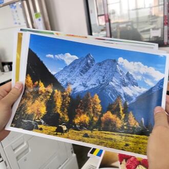 How to Choose the Right Toner Cartridge for Your Copier: A Buyer’s Guide